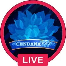 cendana777 Terbaru: Download APK Resmi dan Aman APK Resmi — ikon aplikasi